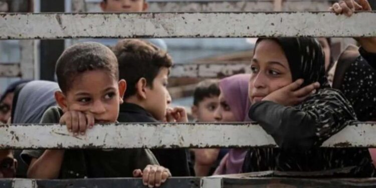 Palestina Sebut 24 Anak Gaza Ditahan di Penjara Megiddo Israel 1 Anak-anak duduk di belakang truk saat warga Palestina berangkat dari bagian utara Gaza untuk meninggalkan Jalur Gaza bagian tengah dan selatan pada 10 November 2023.