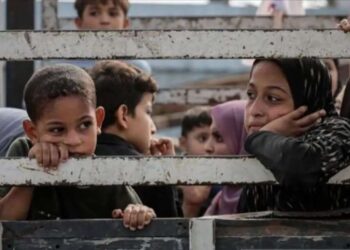 Anak-anak duduk di belakang truk saat warga Palestina berangkat dari bagian utara Gaza untuk meninggalkan Jalur Gaza bagian tengah dan selatan pada 10 November 2023