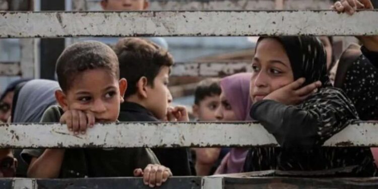 Anak-anak duduk di belakang truk saat warga Palestina berangkat dari bagian utara Gaza untuk meninggalkan Jalur Gaza bagian tengah dan selatan pada 10 November 2023
