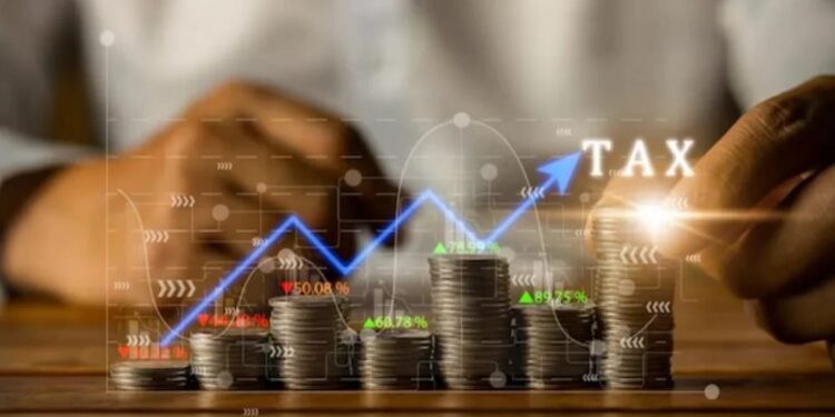 Warga Bali dan Sumut Diramal Paling Terhantam PPN 12% 1 Ilustrasi PPN