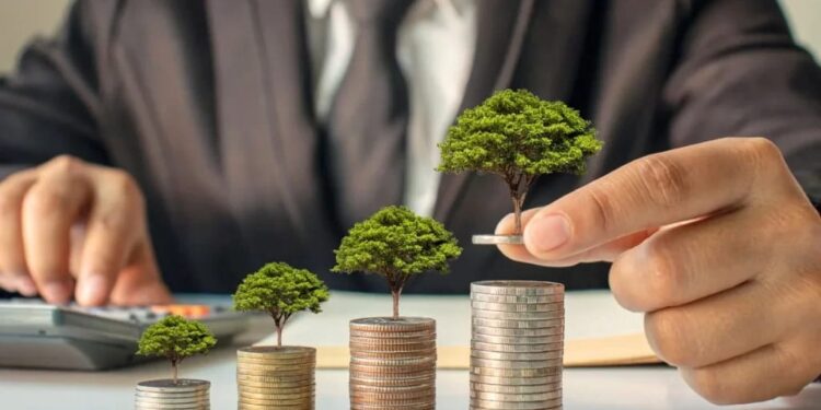 Tips Diversifikasi Investasi Uang THR Sesuai Profil Risiko 1 Ilustrasi reksa dana.