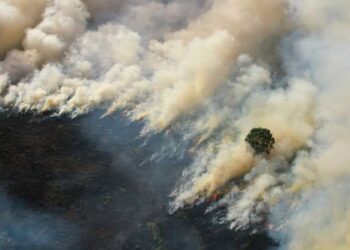 Kebakaran hutan dan lahan.