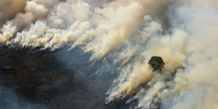 28 Titik Panas Terpantau di Sumut 1 Kebakaran hutan dan lahan.