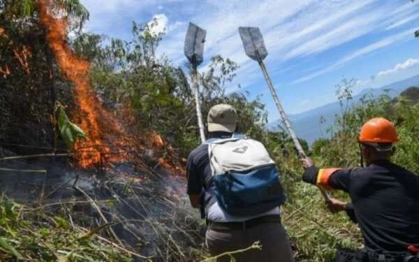 Ada 7 Titik Panas Terpantau di Sumut 1 Ilustrasi kebakaran akibat kemarau