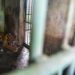 Penutupan Medan Zoo Diundur hingga Usai Libur Lebaran 2 Kondisi Medan Zoo