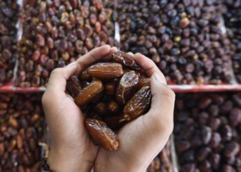 Kurma