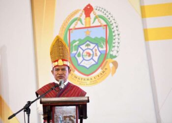 Pj Gubernur Sumut, Hassanudin