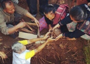 Salah satu prosesi mangokal holi