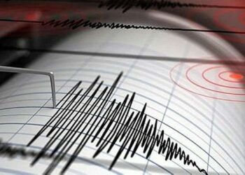 Alat perekam gempa, Seismograf