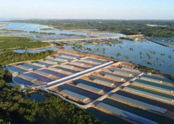 Foto dari udara memperlihatkan basis demonstrasi peternakan bebek laut di Desa Qunzhu, Kota Beihai, Daerah Otonomi Guangxi Zhuang, China.