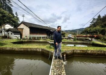 Yu Shukang, seorang pembudi daya ikan di Desa Lingjiao, wilayah Xiuning, Provinsi Anhui, China timur, saat sedang meninjau kolam ikan yang dikembangbiakan menggunakan air dari sumber mata air alami setempat.