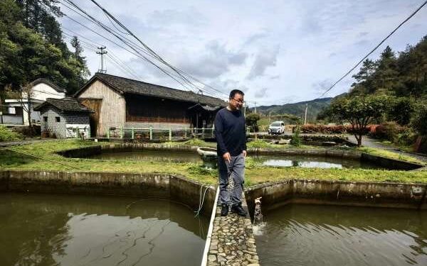 Yu Shukang, seorang pembudi daya ikan di Desa Lingjiao, wilayah Xiuning, Provinsi Anhui, China timur, saat sedang meninjau kolam ikan yang dikembangbiakan menggunakan air dari sumber mata air alami setempat.