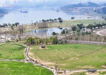 Pemandangan Pulau Guangyang di Chongqing, Tiongkok barat daya, 16 Maret 2024. Pulau Guangyang, pulau hijau terluas di hulu Sungai Yangtze, telah diubah menjadi "ruang kelas" restorasi dan perlindungan ekologi untuk ekowisata dan anak sekolah.