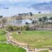 Upaya Pemulihan Ekologi, China Restorasi 6,7 Juta Hektare Lahan 2 Pemandangan Pulau Guangyang di Chongqing, Tiongkok barat daya, 16 Maret 2024. Pulau Guangyang, pulau hijau terluas di hulu Sungai Yangtze, telah diubah menjadi "ruang kelas" restorasi dan perlindungan ekologi untuk ekowisata dan anak sekolah.