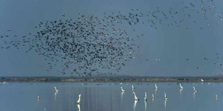 Luas Permukaan Danau Dongting di China Meningkat 80% 1 Danau Dongting yang terletak di Provinsi Hunan, China.