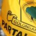 Ilustrasi Golkar.