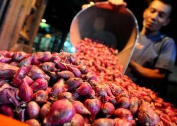 Ilustrasi pedagang bawang merah.