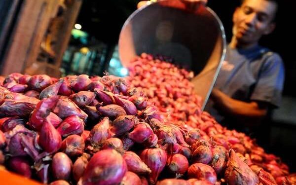 Ilustrasi pedagang bawang merah.