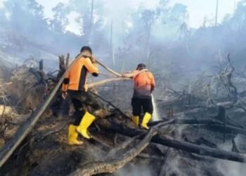 Petugas sedang memadamkan karhutla di Kecamatan Penajam, Kabupaten Penajam Paser Utara (PPU), Kaltim.