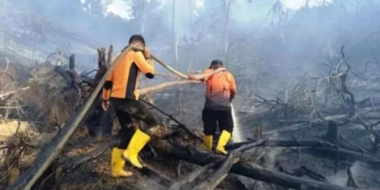 BMKG Deteksi 169 Titik Panas di Kaltim, Tersebar di Lima Kabupaten 1 Petugas sedang memadamkan karhutla di Kecamatan Penajam, Kabupaten Penajam Paser Utara (PPU), Kaltim.