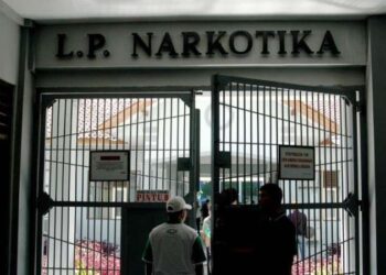 L.P. Narkotika.