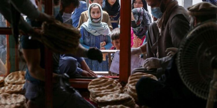 16 Juta Warga Afghanistan Bakal Dilanda Kerawanan Pangan Darurat 1 PBB sebut warga Afghanistan dilanda kerawanan pangan darurat.