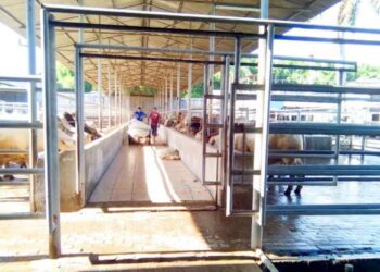 Salah satu RPH di Tangerang.