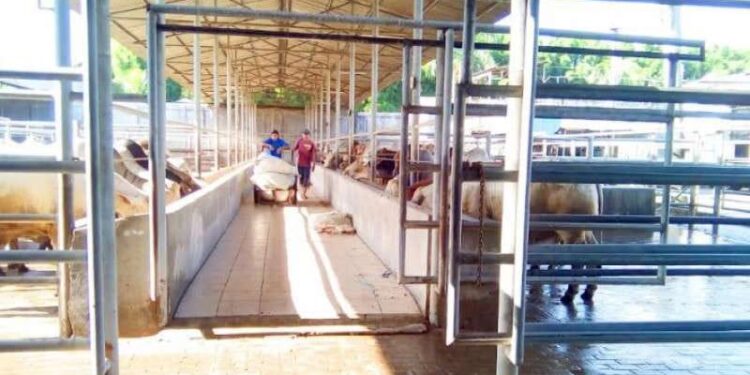RPH Wajib Kantongi Sertifikat Halal, Pedagang Pasar Gimana? 1 Salah satu RPH di Tangerang.