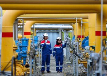 PT Perusahaan Gas Negara Tbk (PGN).