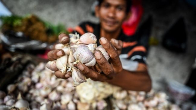 Kenaikan Harga Bawang Putih Tak Wajar, KPPU akan Panggil Pelaku Usaha 1 Ilustrasi pedagang bawang putih.