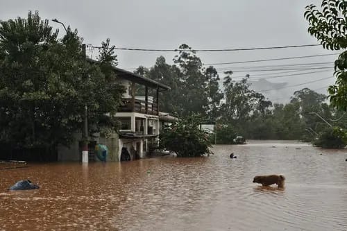 126 Orang Meninggal Dunia akibat Banjir di Selatan Brasil 1 Penampakan banjir di Brasil.