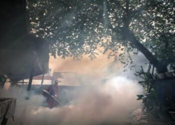Seorang petugas melakukan pengasapan (fogging).