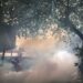 Seorang petugas melakukan pengasapan (fogging).