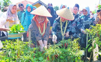 Tim Monitoring PKK Sumut Kunjungi Desa Banyumas Kabupaten Langkat 1 Dian Arif didampingi Pj Ketua PKK Langkat, Uke Retno Faisal Hasrimy, berkesempatan mengunjungi kebun Aku Hatinya PKK Desa Banyumas.
