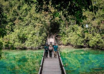 Menparekraf RI, Sandiaga Salahuddin Uno, meninjau dan melihat secara langsung kondisi Pulau Kakaban atau Danau Ubur-ubur.