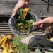 Sampah Makanan Orang RI Hampir 50 Juta Ton, Kerugian Ratusan Triliun 2 Ilustrasi sisa makanan.