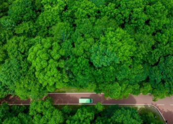 Provinsi Heilongjiang di China timur laut, yang terkenal dengan sumber daya hutannya yang kaya.