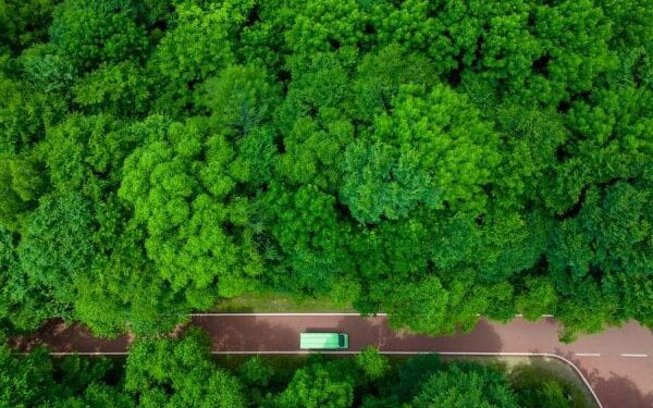 Provinsi Heilongjiang di China timur laut, yang terkenal dengan sumber daya hutannya yang kaya.