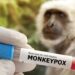 Ilustrasi Monkeypox.