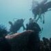Menparekraf Transplantasi Terumbu Karang di Desa Wisata Pulau Pramuka 2 Transplantasi terumbu karang di Desa Wisata Pulau Pramuka, Kepulauan Seribu.