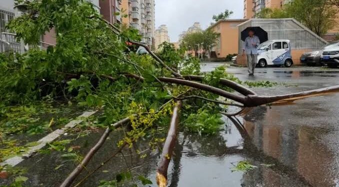 Topan Pulasan Picu Hujan Lebat, Shanghai Evakuasi Ratusan Ribu Warga 1 Topan Pulasan di China.