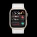 HUAWEI WATCH D2.