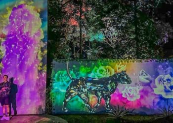 Magical Forest Dhuna Glow di Medan Zoo.
