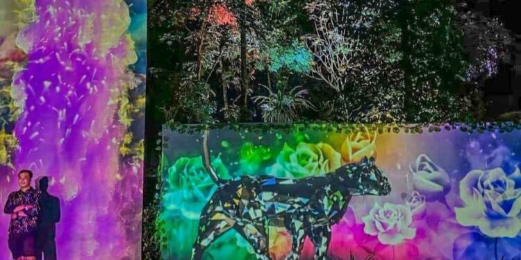 Magical Forest Dhuna Glow di Medan Zoo.