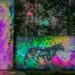 Magical Forest Dhuna Glow di Medan Zoo.