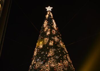 Pohon Natal setinggi 21 meter di Delipark Mall.
