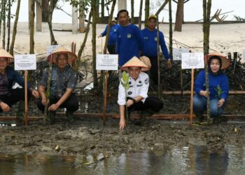 Pj Gubsu, Agus Fatoni menanam pohon mangrove yang diberkati Sri Paus Fransiskus di Pantai Romantis, Desa Sei Nagalawan, Serdang Bedagai, Kamis (19/12/2024).