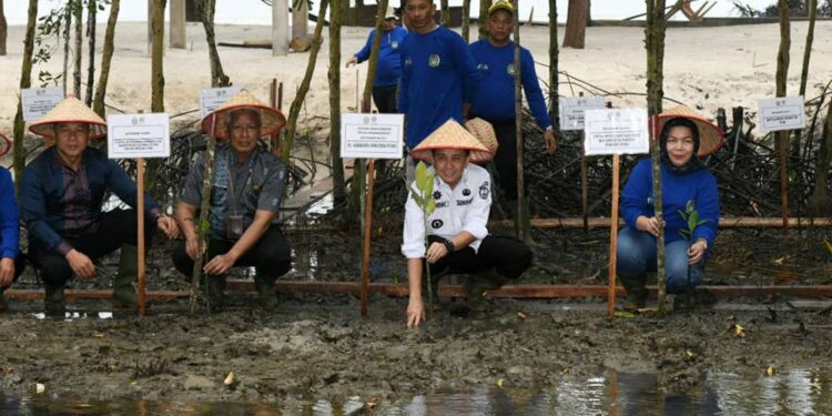 Pj Gubsu Tanam Pohon Mangrove yang Diberkati Paus Fransiskus di Pantai Romantis 1 Pj Gubsu, Agus Fatoni menanam pohon mangrove yang diberkati Sri Paus Fransiskus di Pantai Romantis, Desa Sei Nagalawan, Serdang Bedagai, Kamis (19/12/2024).