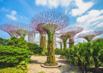 Kebun Raya Singapura, Singapura.