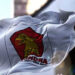 KLB Partai Gerindra Putuskan Prabowo Jadi Capres 2029 2 Bendera Gerindra.